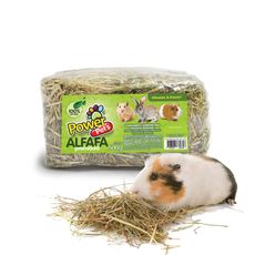 Alfafa prensada p/ roedores alimento ração 100% natural 500g