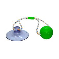 Brinquedo Truqys Push Ball Pet Verde