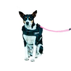 Coleira e peitoral Police K9 p/ cães guia tam M 40cm preto