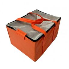 Bolsa transporte aéreo Gol Pet viagem voo cães e gatos mala