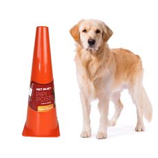 Cone poste educador xixi no lugar certo p/ cães 40cm Laranja