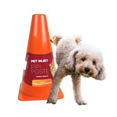 Cone poste educador xixi no lugar certo p/ cães Peq Laranja