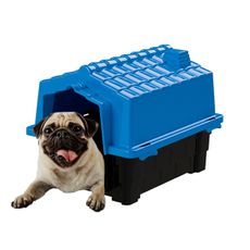 Casinha p cachorro Eco colors casa cães plástico N2 - Azul