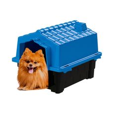 Casinha p/ cachorro Eco colors casa cães plástico N1 - Azul