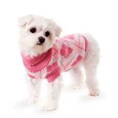Roupa roupinha lã p/ cães frio inverno Powerpets N4 25cm
