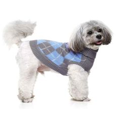 Roupa roupinha lã p/ cães frio inverno Powerpets N14 41cm