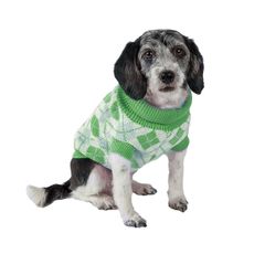 Roupa roupinha lã p/ cães frio inverno Powerpets N20 51cm