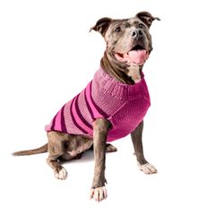 Roupa roupinha lã p/ cães frio inverno Powerpets N22 54cm