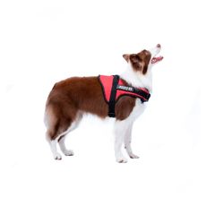 Coleira e peitoral Police K9 p cães guia tam M 40cm Vermelho